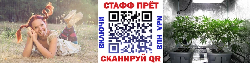 Как найти наркотики Тайшет МАРИХУАНА  А ПВП  ГАШИШ  Амфетамин  mega   Cocaine 