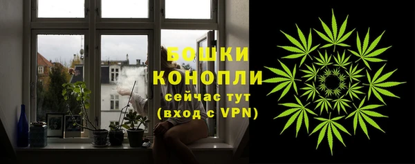 PSILOCYBIN Армянск