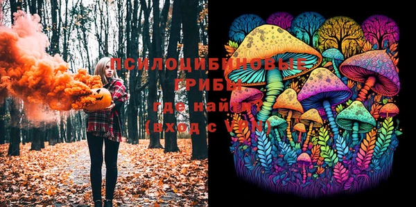 PSILOCYBIN Армянск