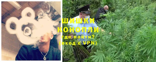 PSILOCYBIN Армянск