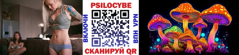 купить наркотики цена Тайшет Псилоцибиновые грибы мицелий